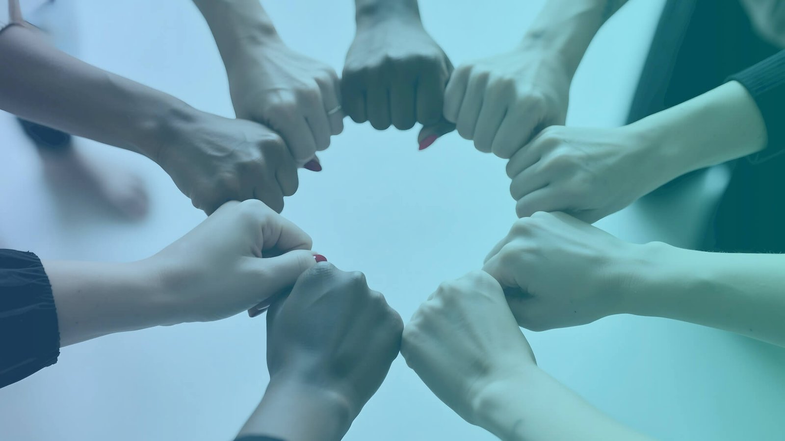 Aim High: 5 Lessons From the World's Most Profitable Franchises