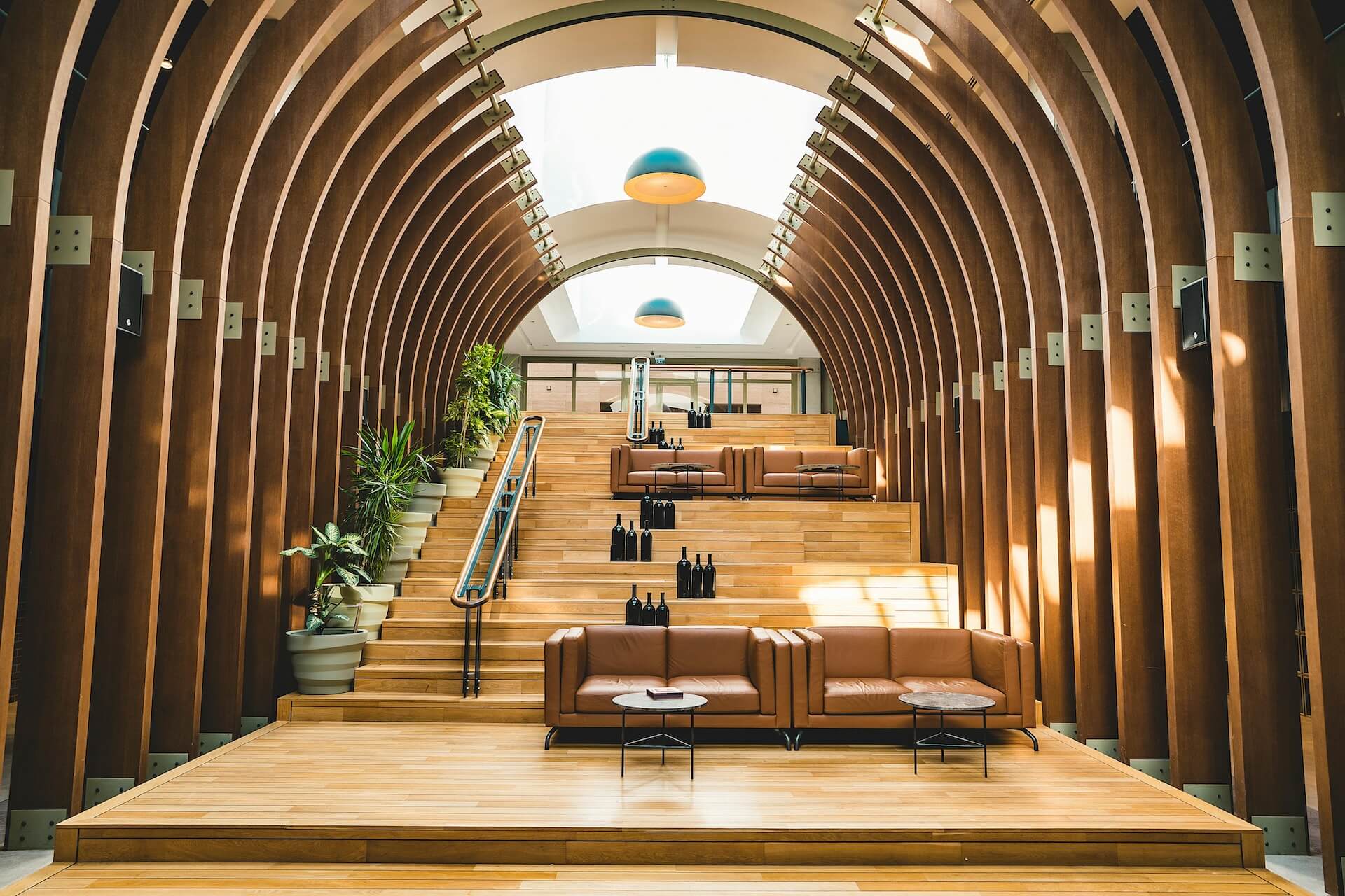 pexels-kadiravsarr-15010963 (1)