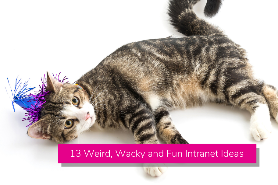 Intranet Ideas - 13 Weird, Wacky and Fun Intranet Ideas and Features | Claromentis