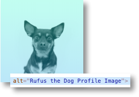 Image of a dog explained in alt tags for digital accessibility